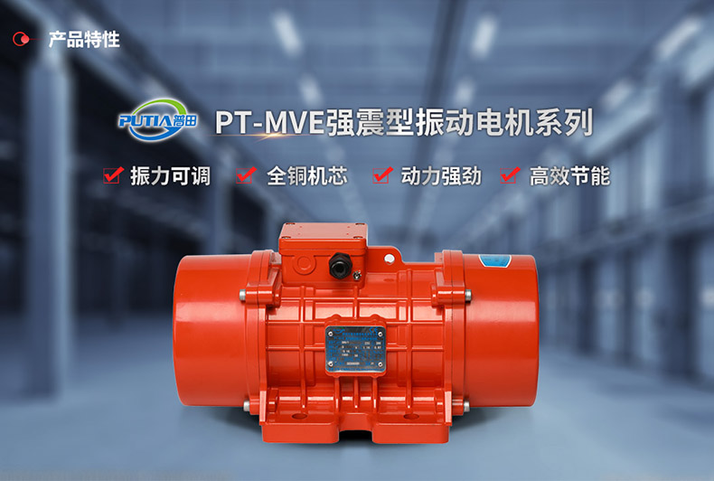 沈陽(yáng)市振動(dòng)電機(jī)廠